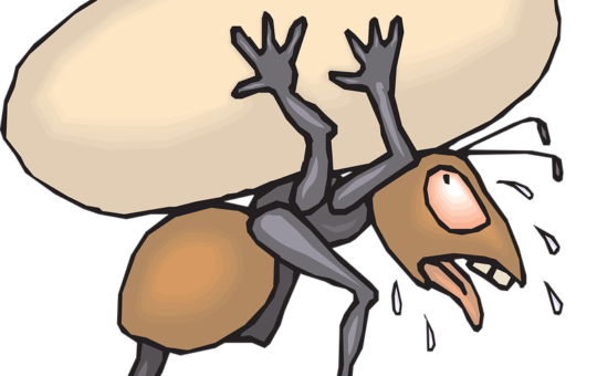 Free vector graphics of Ant