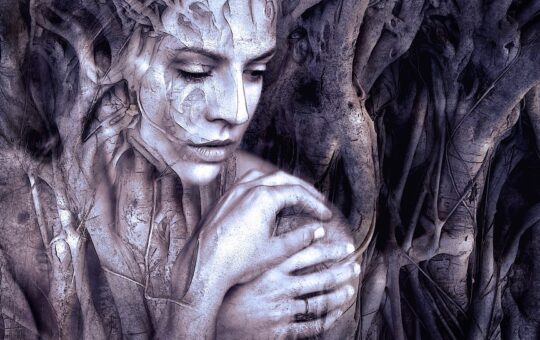 How is Feminism Reflected in Literature