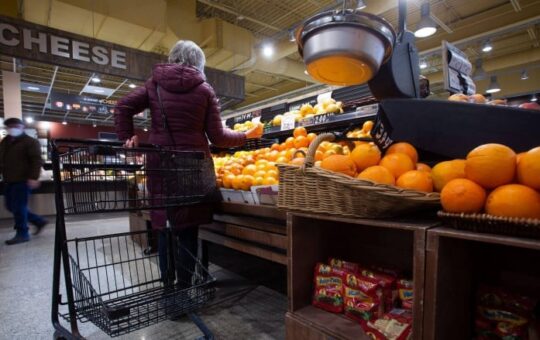 A woman in a coat shops for oranges in a supermarket in St. John's. Behind her, a cheese display is shown.